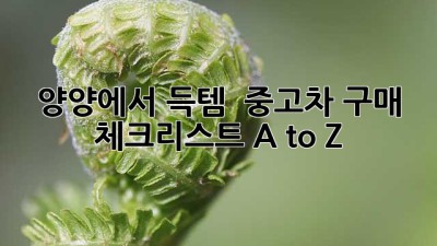 양양에서 득템?! 😎 중고차 구매 체크리스트 A to Z
